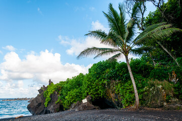 Black Sand Beach and Tropical Coastline along the Road to Hana, Maui, Hawaii