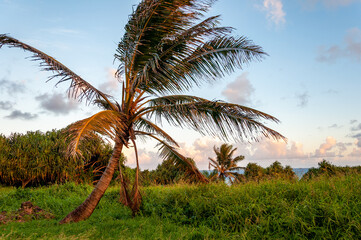 Tropical Sunset on the Coast of Maui along the Road to Hana, Hawaii