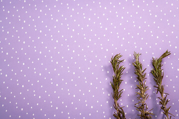 three sprigs of rosemary on a purple background