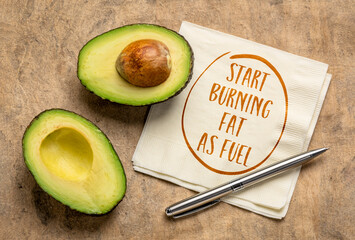 start burning fat as fuel, keto diet concept - handwriting on napkin with a cut avocado against bark paper, healthy eating and lifestyle
