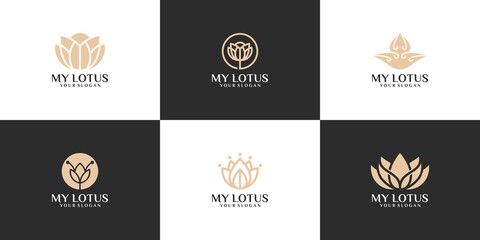 collection, a simple natural lotus logo