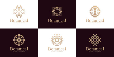 Fototapeta premium Collection of botanical ornaments, luxury line art style logo