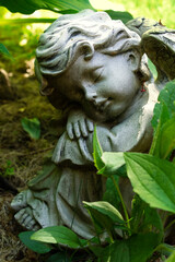 Obraz premium statue of an angel in the garden 