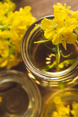 菜種油と菜の花　サラダ油のイメージ素材
