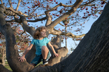 Little kid on a tree branch. Child climbs a tree. - obrazy, fototapety, plakaty