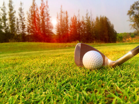 White golf ball Outdoor sports laying on the green lawn, golf course background with sunshine