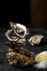 스테미너에 좋은 향기로운 신선한 굴 석화