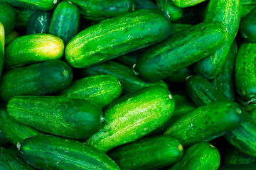 cucumbers in the market
