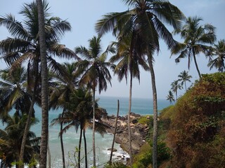 Fototapeta na wymiar coconut trees and cliff, Kovalam beach seascape view Thiruvananthapuram Kerala