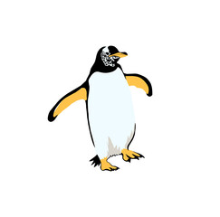 Obraz premium penguin walking isolated on white background