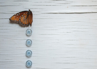 wood background with butterfly's and buttons 