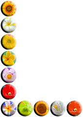 Lettre l, boutons fleuris 