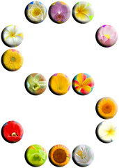 Lettre s, boutons fleuris 