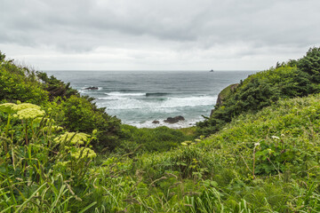 Lush Green Coastal Area, Cloudy Day at the Beach