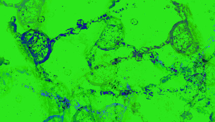 abstract fractal watercolor watercolour color acrylic drawing colorful grunge image illustration paint background bg texture wallpaper art frame sample board blank material