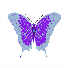 Butterfly of pale blue color with purple spots isolated on white background. Vector illustration.