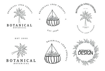 Botanical hand drawn floral minimal palm tree logo concept projects