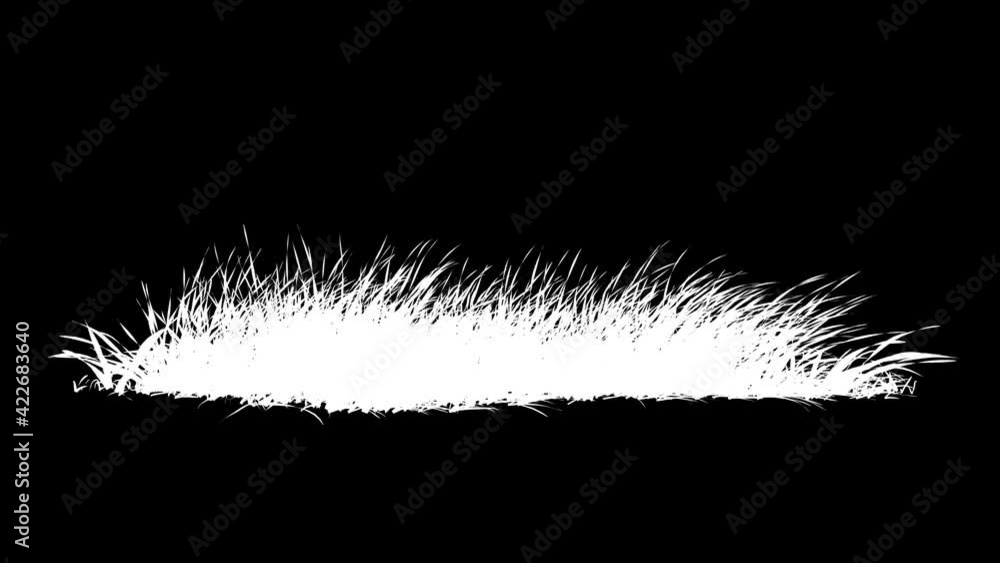 Wall mural grass wind loop with alpha channel. easy to use and change color you can place on footage or backgro