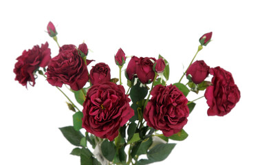bunch of red roses
