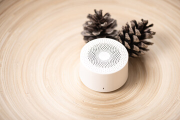portable bluetooth speaker