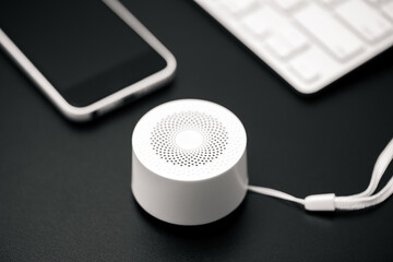 portable bluetooth speaker
