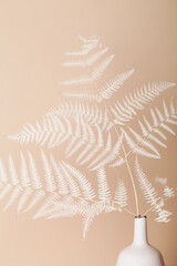 Floral composition of branch fern in vase on beige background. Botany styled. Art concept. Minimal...