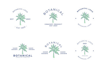 Botanical hand drawn floral minimal palm tree logo concept projects