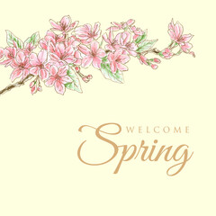 Vintage Spring background with a beautiful flower greeting card illustration