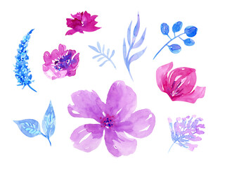 Fototapeta na wymiar Watercolor pink flowers and blue leaves set, hand drawn illustration isolated on white.
