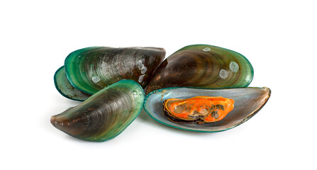 mussels isolated on white background