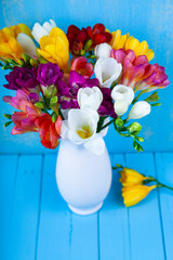 Multi-colored freesias on a blue background