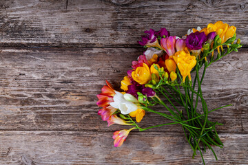 Multi-colored freesias on old wooden background