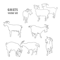 goats vector set