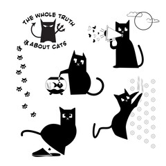 Funny bad cat behavior set