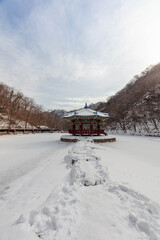 겨울