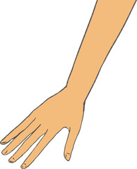 手描きの手