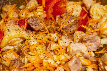 Fried meat with carrots, onions and tomatoes