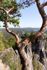 Fototapeta na wymiar View from Bastei rocks in Saxony Switzerland. Germany
