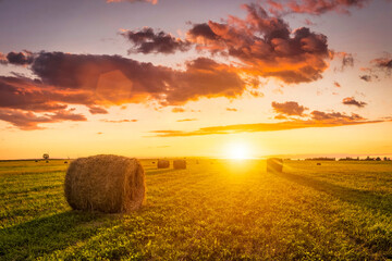 Sunset in a field with haystacks on a summer or early autumn evening with a cloudy sky in the...
