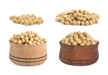 Set with soya beans on white background