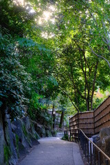 view of Japanese garden