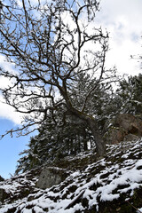 Rosselhalde im Winter