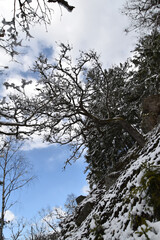 Rosselhalde im Winter