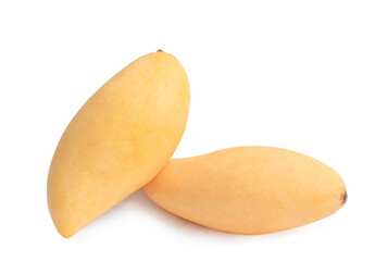 Yellow ripe mango ( Nam Dok Mai) of Thailand isolated on white background.
