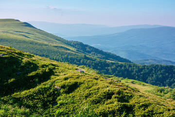 Fototapeta na wymiar mountain landscape in summer. grassy hills in the morning light. beautiful nature of carpathians