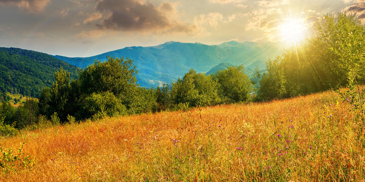 rural field in mountains at sunset. beautiful summer landscape of carpathian countryside in evening light. trees on the hill, forested ridge in the distance beneath a blue sky with clouds.