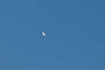 Beautiful of natures in the morning