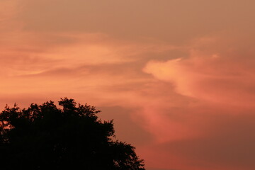 Fototapeta premium Beautiful light and cloudy sky in the morning