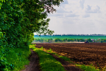Row of trees along farm dirt road besides plowed field