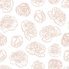 Seamless vector pattern with hand drawn peonies. Sketched flowers background